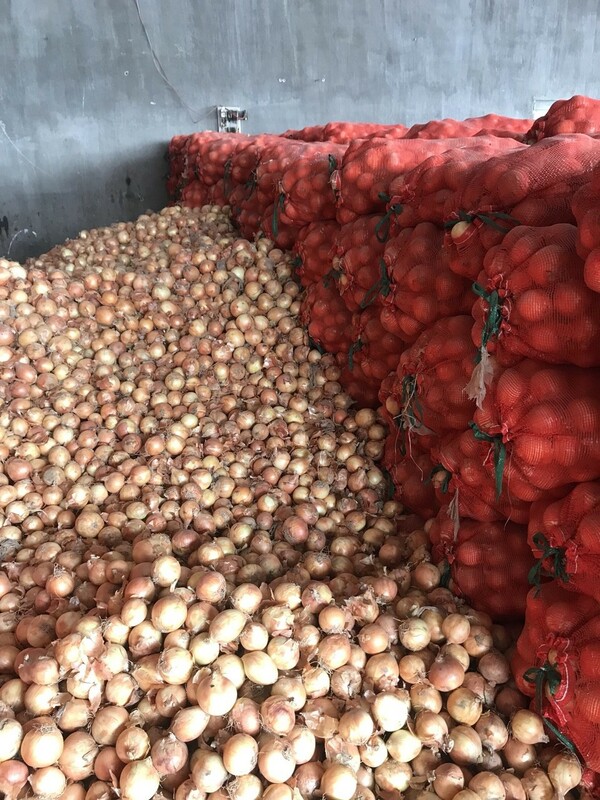 Hành tây khô - Nông Sản Rau Củ Đà Lạt - Công Ty TNHH Da Sa Thảo Mộc