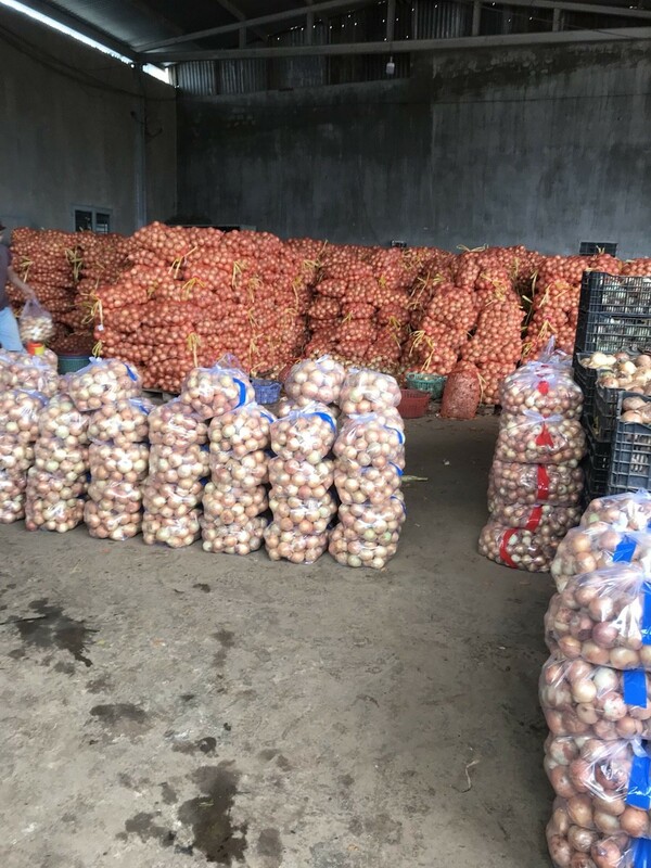 Hành tây khô - Nông Sản Rau Củ Đà Lạt - Công Ty TNHH Da Sa Thảo Mộc