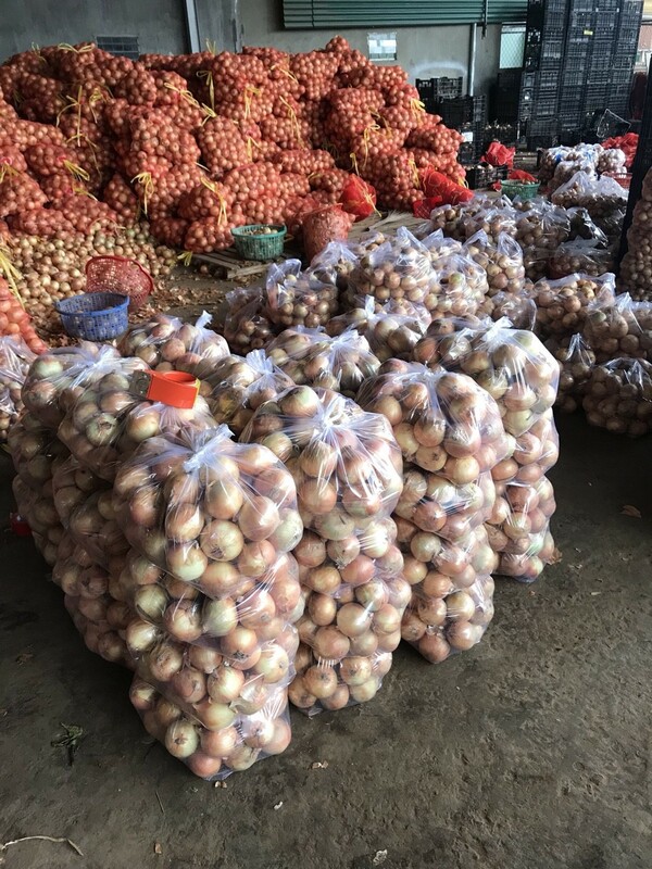 Hành tây khô - Nông Sản Rau Củ Đà Lạt - Công Ty TNHH Da Sa Thảo Mộc