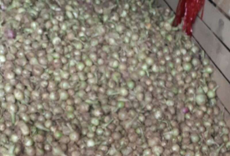 Hành tây khô - Nông Sản Rau Củ Đà Lạt - Công Ty TNHH Da Sa Thảo Mộc