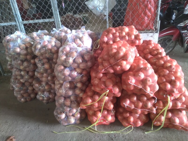 Hành tây khô - Nông Sản Rau Củ Đà Lạt - Công Ty TNHH Da Sa Thảo Mộc