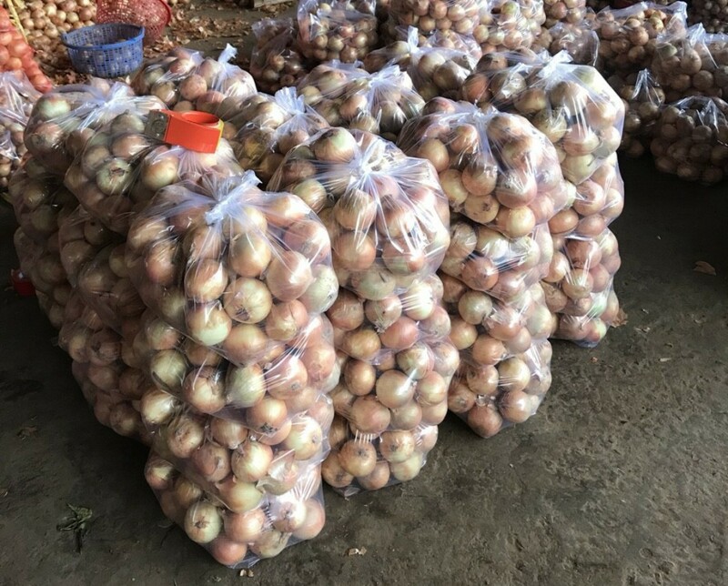 Hành tây khô - Nông Sản Rau Củ Đà Lạt - Công Ty TNHH Da Sa Thảo Mộc