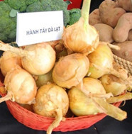 Hành tây khô - Nông Sản Rau Củ Đà Lạt - Công Ty TNHH Da Sa Thảo Mộc