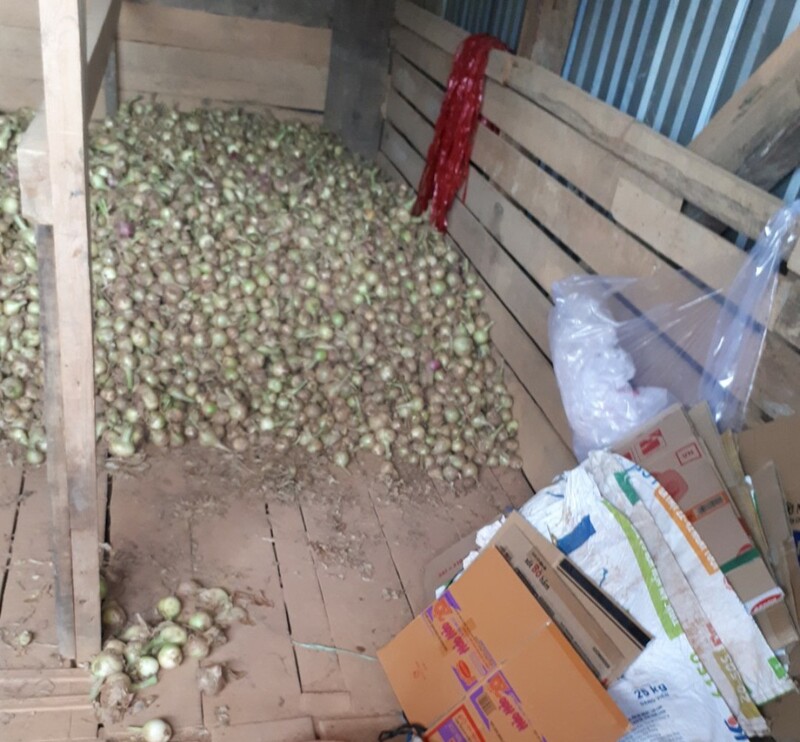 Hành tây khô - Nông Sản Rau Củ Đà Lạt - Công Ty TNHH Da Sa Thảo Mộc