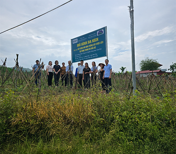 Vườn ươm cây giống