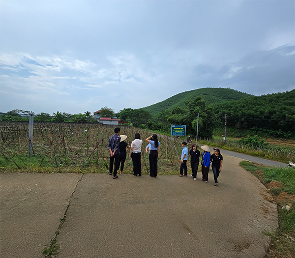 Vườn ươm cây giống