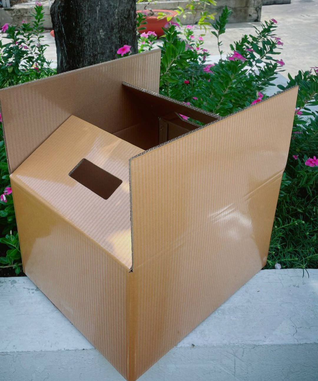 Thùng carton