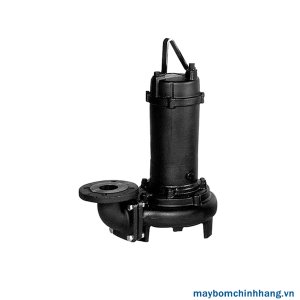 Máy bơm Ebara 100 DLB - Máy Bơm Nước Thuận Hiệp Thành - Công Ty TNHH Thuận Hiệp Thành