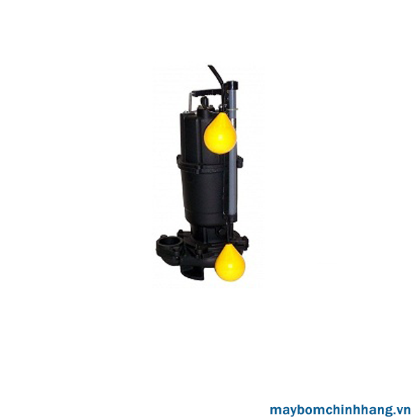 Máy bơm Ebara DSVA - Máy Bơm Nước Thuận Hiệp Thành - Công Ty TNHH Thuận Hiệp Thành