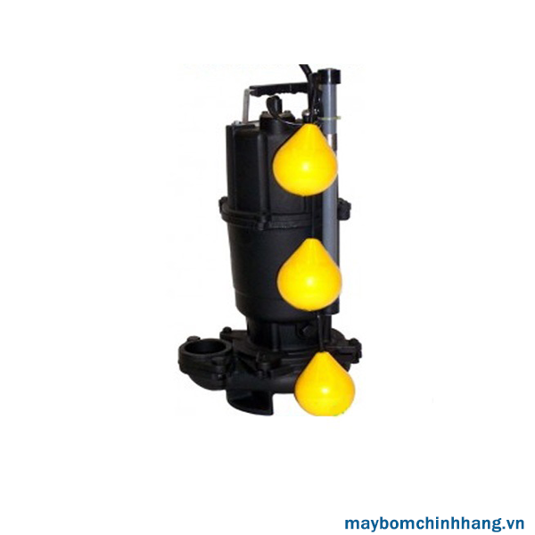 Máy bơm Ebara DVSJ - Máy Bơm Nước Thuận Hiệp Thành - Công Ty TNHH Thuận Hiệp Thành