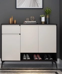 Tủ giày cánh mở