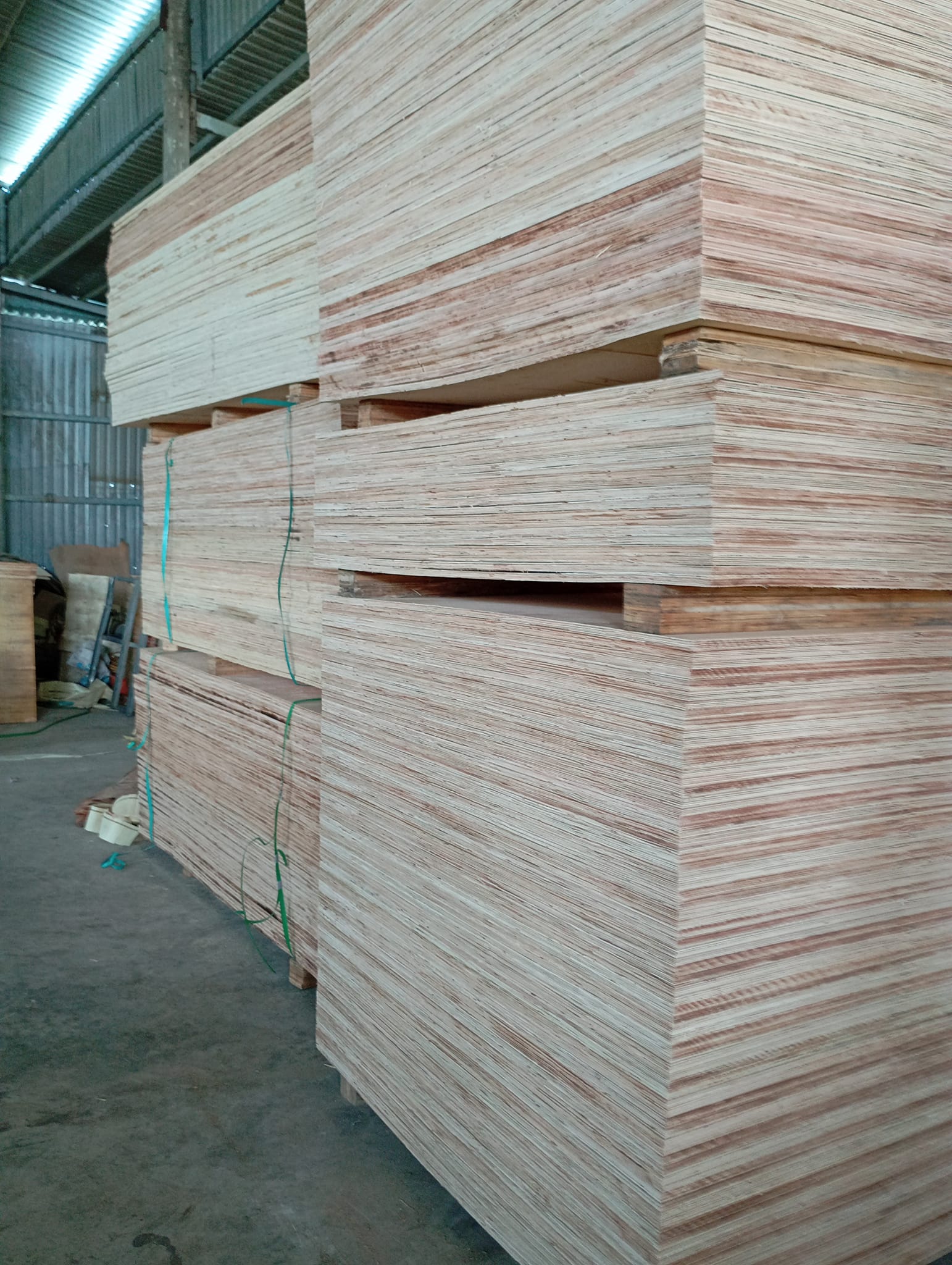 Hình ảnh công ty Ván ép Đức Thịnh