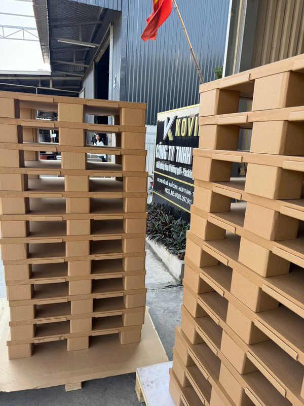Pallet giấy - Thùng Carton KOVIF -  Công Ty TNHH KOVIF