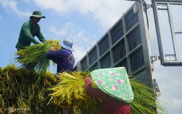 Kho hàng Meko Craft
