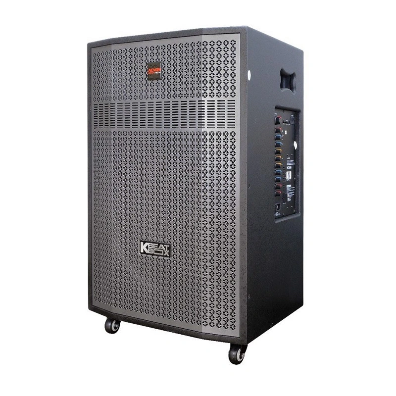 Loa kéo Acnos CB56GD