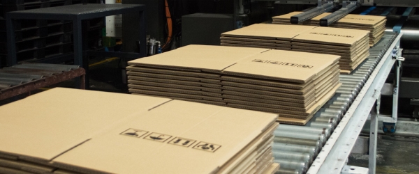 Hình ảnh công ty Vietbox - Bao Bì Carton Vietbox.vn - Công ty TNHH Sản Xuất Và Thương Mại VIETBOX