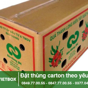 Thùng carton đựng thanh long - Bao Bì Carton Vietbox.vn - Công ty TNHH Sản Xuất Và Thương Mại VIETBOX