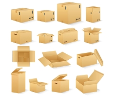 In thùng giấy - In Bao Bì Giấy Tân Phú - Công Ty TNHH Sản Xuất In ấn Và Bao Bì Tân Phú