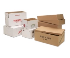 In thùng giấy - In Bao Bì Giấy Tân Phú - Công Ty TNHH Sản Xuất In ấn Và Bao Bì Tân Phú