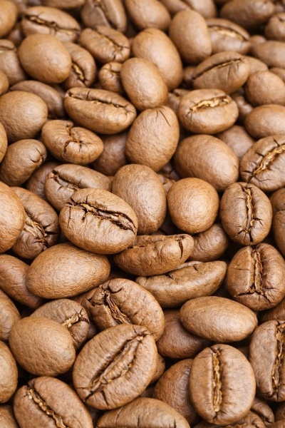 Hạt cà phê - Công Ty TNHH Sản Xuất Thương Mại Ngô Hân COFFEE