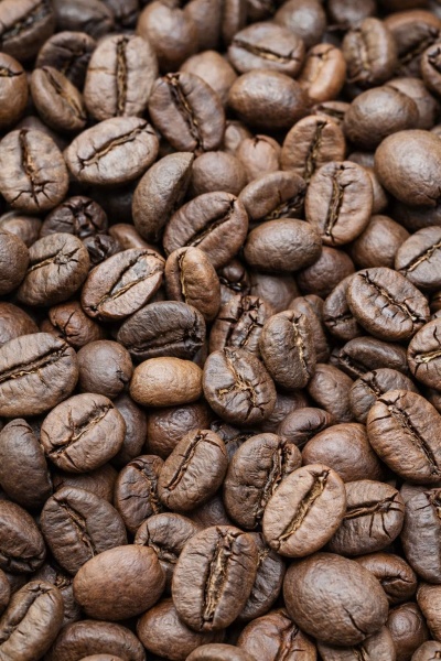 Hạt cà phê - Công Ty TNHH Sản Xuất Thương Mại Ngô Hân COFFEE