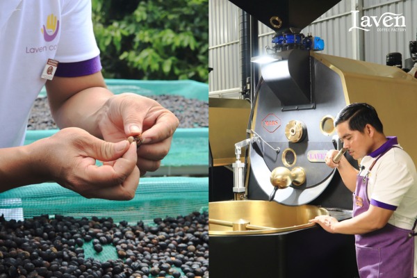 Công ty Laven Group - Laven Coffee - Công Ty TNHH Laven Group