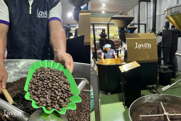 Công ty Laven Group - Laven Coffee - Công Ty TNHH Laven Group