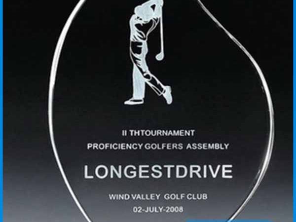 Kỷ niệm chương thủy tinh