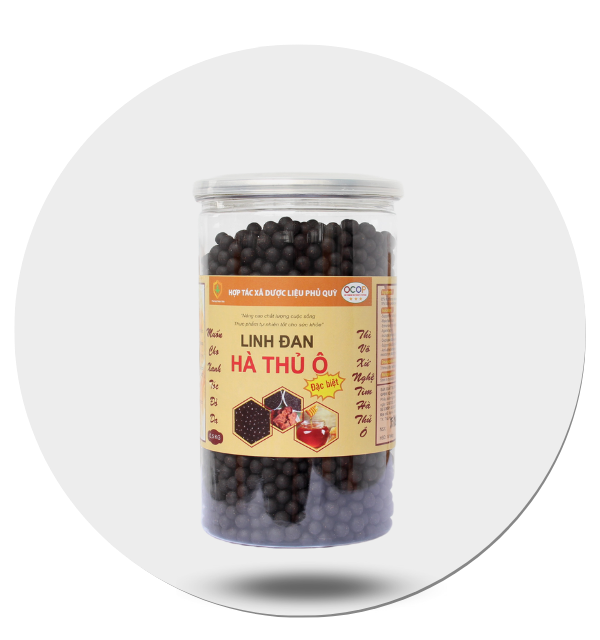 Linh đan hà thủ ô