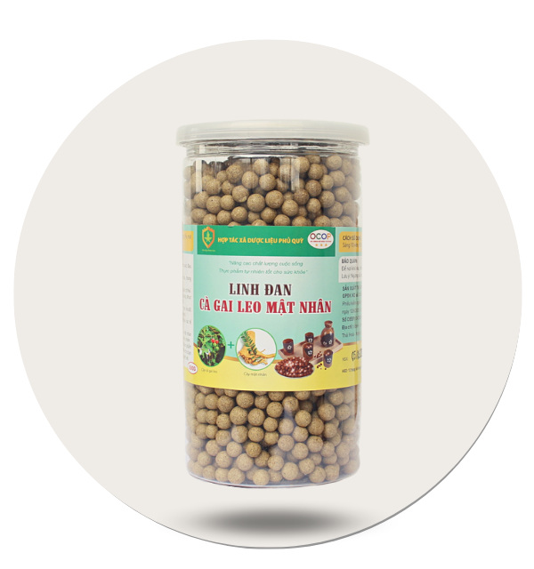 Linh đan cà gai leo