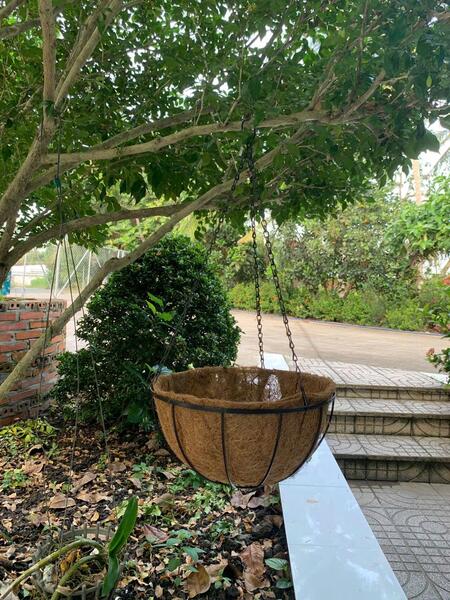 Giỏ treo xơ dừa - Sản Phẩm Xơ Dừa Tiến Thành - Công Ty Cổ Phần Cây Dây Leo Tiến Thành