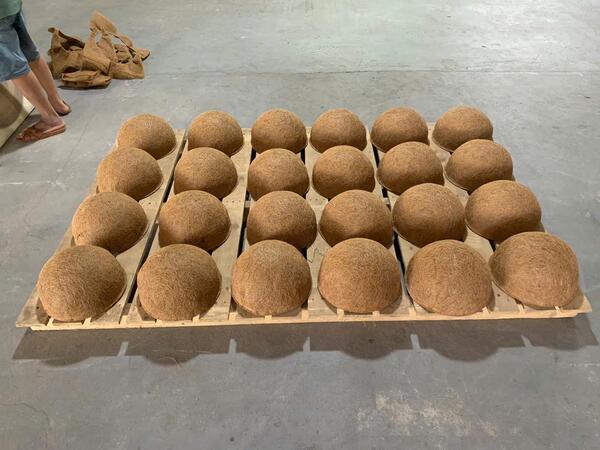 Giỏ treo xơ dừa - Sản Phẩm Xơ Dừa Tiến Thành - Công Ty Cổ Phần Cây Dây Leo Tiến Thành