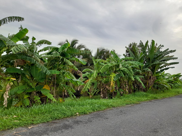 Hình ảnh xưởng sản xuất Tiến Thành