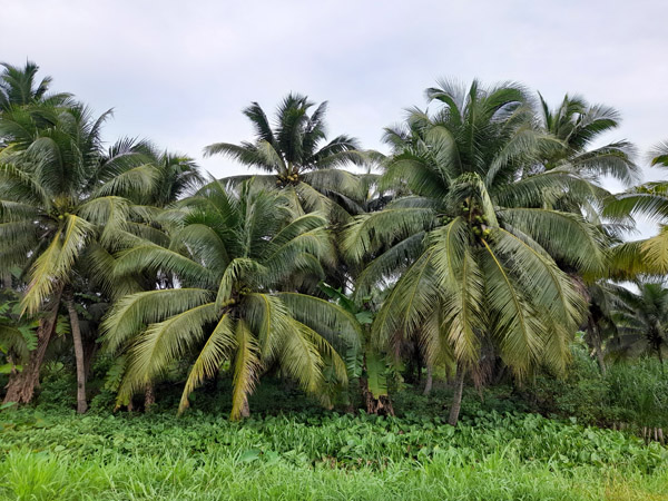 Hình ảnh xưởng sản xuất Tiến Thành