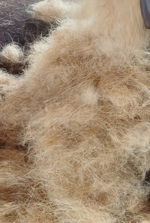 Hình ảnh xưởng sản xuất Tiến Thành