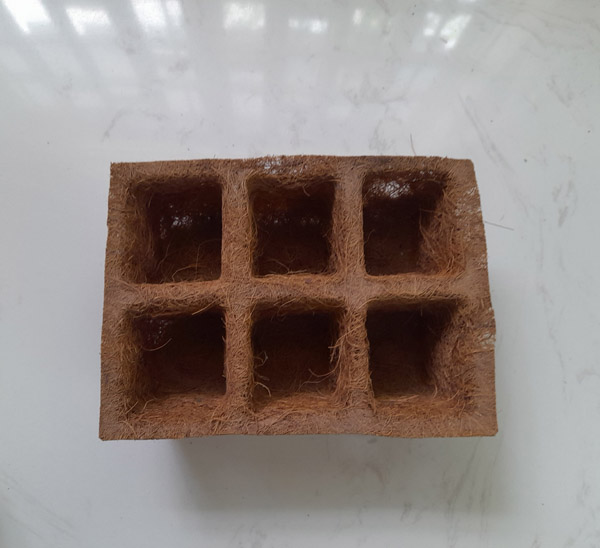 Chậu vuông xơ dừa 20 cm