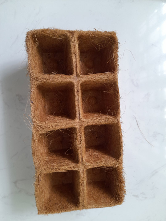 Chậu vuông xơ dừa 10 cm