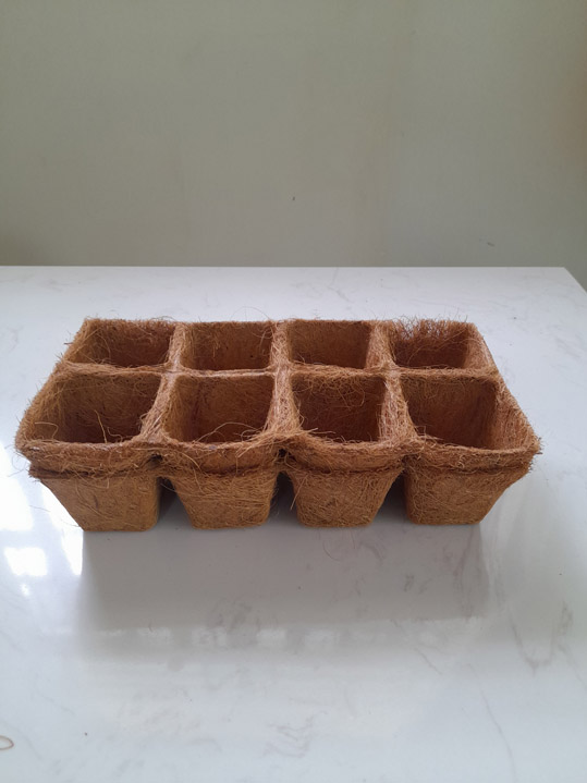 Chậu vuông xơ dừa 15 cm