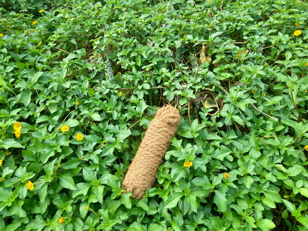 Dây xơ dừa 15 m (Đường kính 3–10 mm)