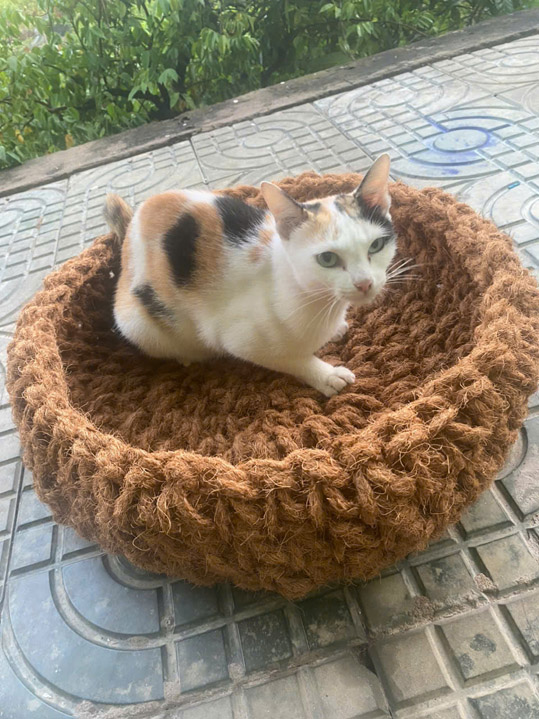 Ổ xơ dừa cho cún, chuột