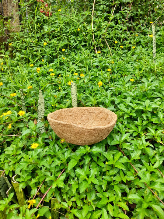 Chậu tròn xơ dừa đường kính 30 cm