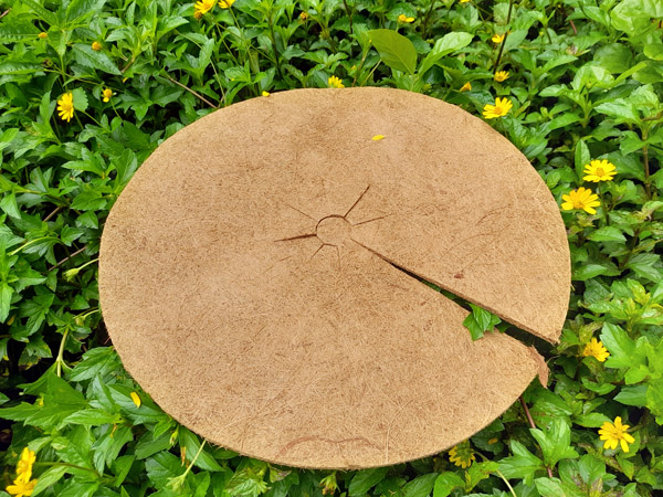 Đĩa xơ dừa đường kính 60 cm