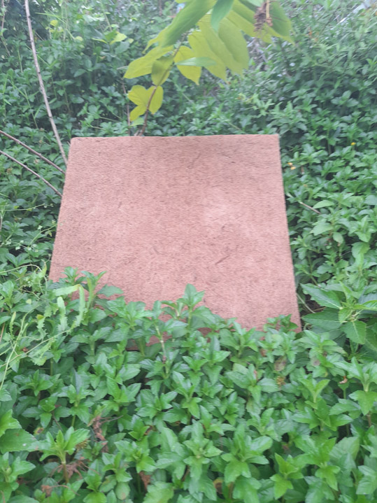 Thảm xơ dừa 50x50cm