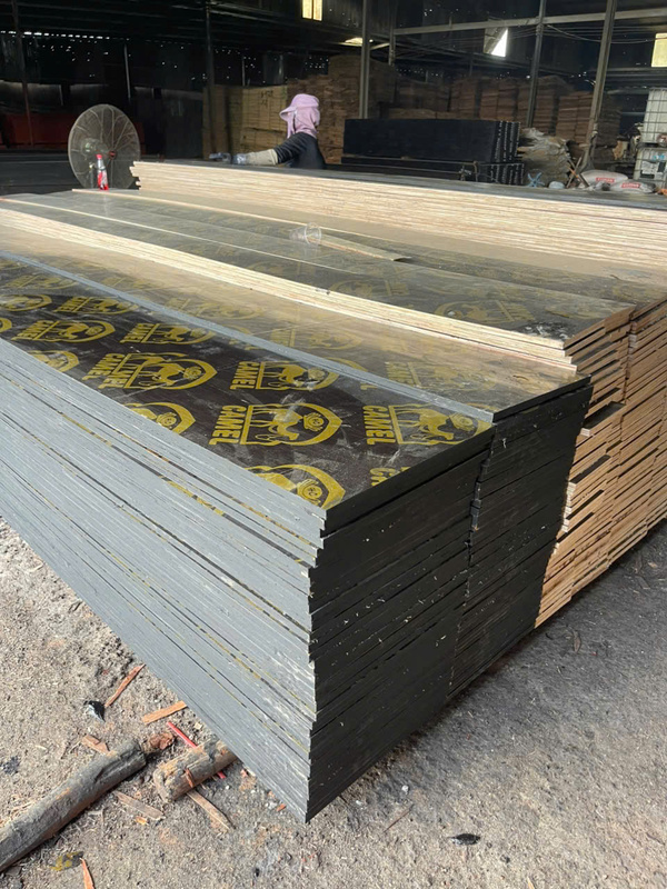 Ván ép coppha cột