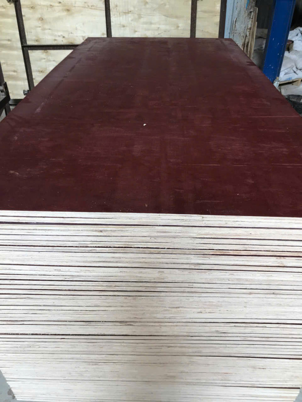 Ván ép coppha phủ keo