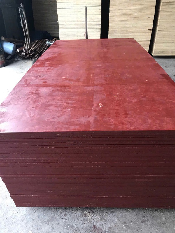 Ván ép coppha phủ keo