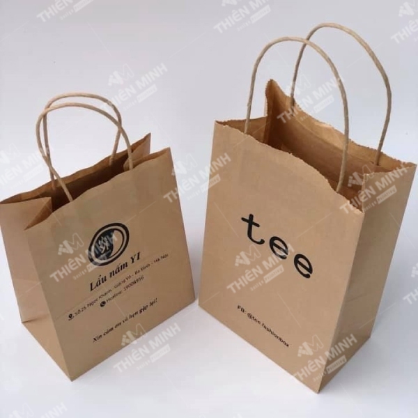 In túi giấy có quai xách - In ấn Thiên Minh - Công Ty TNHH In ấn Thiên Minh