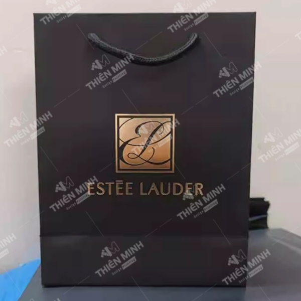 In túi giấy có quai xách - In ấn Thiên Minh - Công Ty TNHH In ấn Thiên Minh