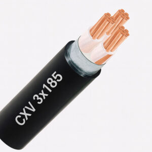 Dây cáp điện 3 lõi Cadivi CXV 3x185mm2 0.6/1KV
