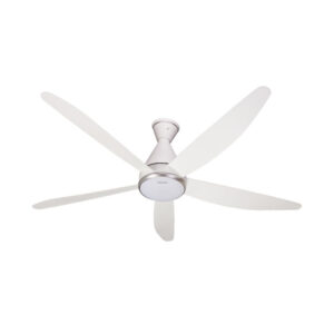 Quần trần 5 cánh Panasonic F-60GDS-B màu nâu